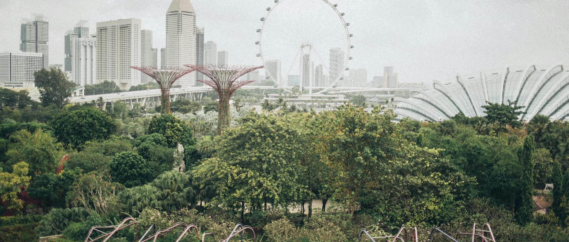 фото Сингапур недорого или как сэкономить в городе будущего