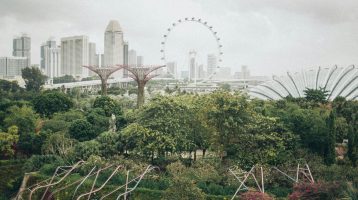 фото Сингапур недорого или как сэкономить в городе будущего