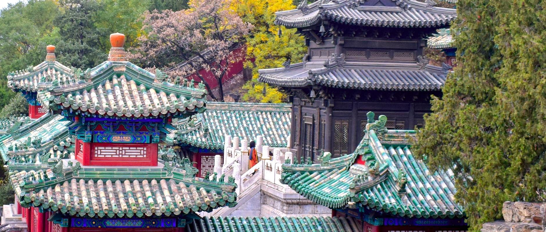 фото Однодневные приключения из Пекина: Великая стена и другие уникальные маршруты