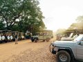 Фото Приключения в горах Фуджейры: маршруты для хайкинга и сафари