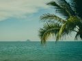 Фото Пляжи Нячанга и окрестностей, где вода чистая и нет толпы