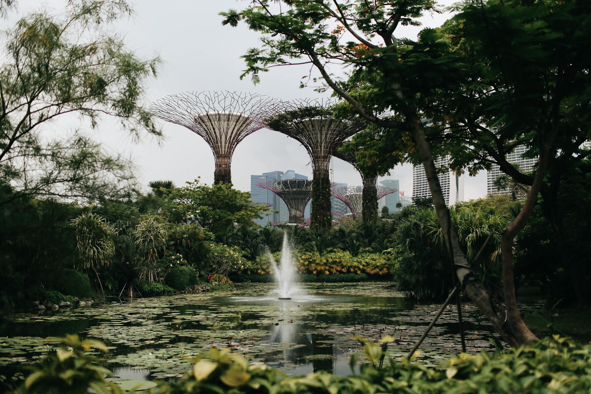 День: Gardens by the Bay - Сады у Залива - Сингапур