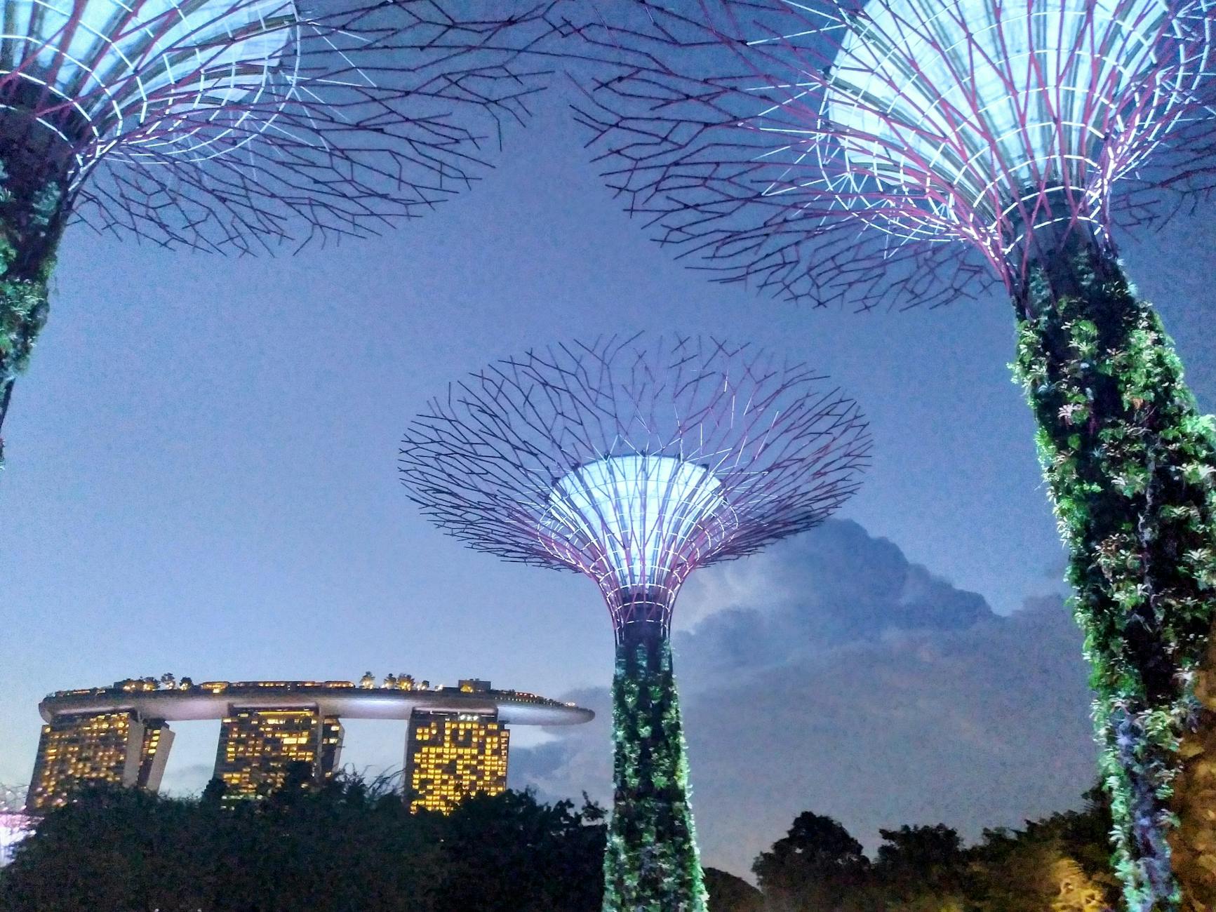 Вечер: Шоу Garden Rhapsody и ужин с видом - Сингапур