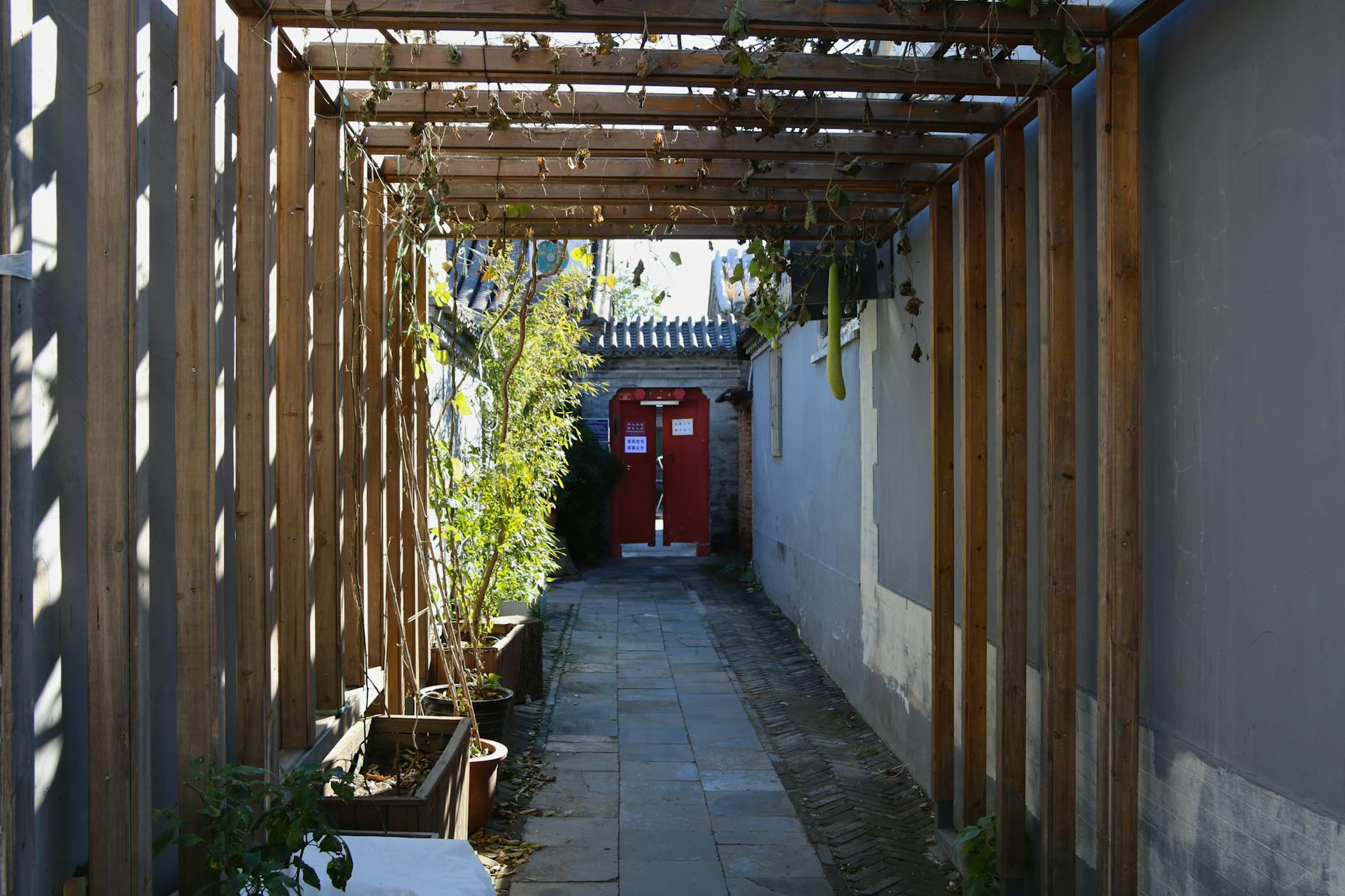 Практические советы для исследователей хутунов - Пекин